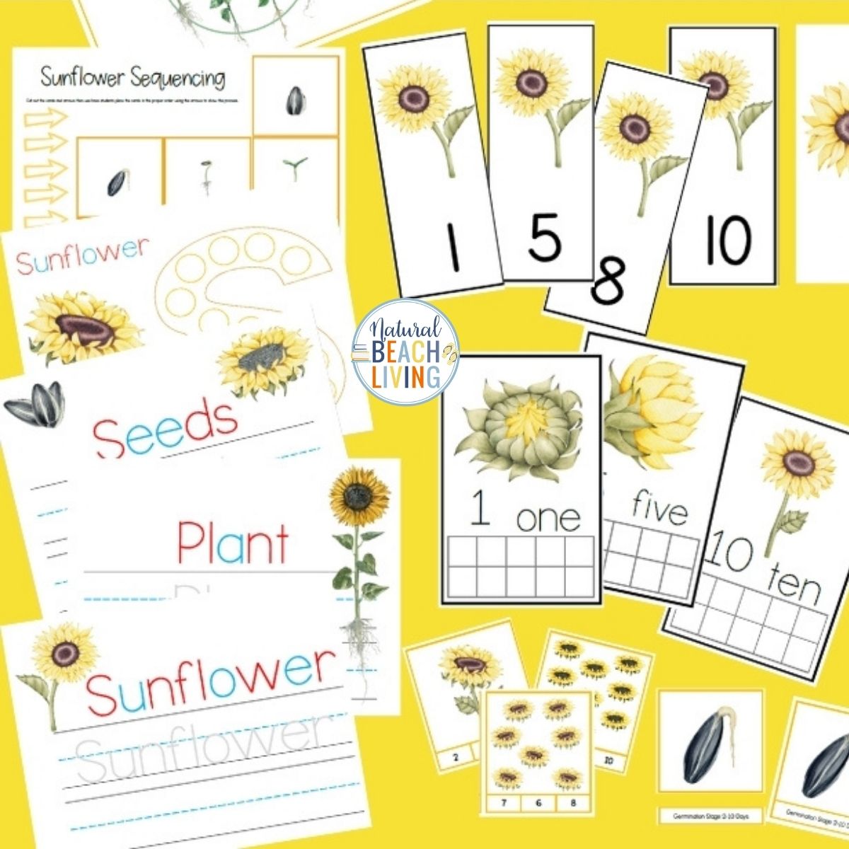 Beautiful printable Charlotte Mason and Montessori Sunflower Unit Study to learn about sunflowers while building important early math and literacy skills. These Sunflower Themed Activities for preschool and Kindergarten include exciting sunflower science experiments, fine motor activities, 3 part cards, sunflower life cycle activities, and more. Sunflower lesson plans and activities will excite children of all ages!