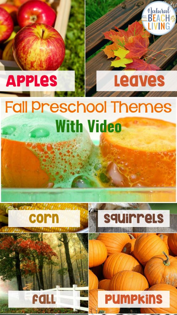 Best Fall Preschool Themes and Preschool Activities, Find Preschool fall theme activities, crafts, ideas, art, Science, printables and resources for your preschool, pre-k, or kindergarten children. Preschool lesson plans, FALL THEMES, Apple activities, All About Me activities for preschool, Preschool books, Halloween Theme for Kids, October preschool themes, farm theme, Preschool Pumpkin activities, and more. You'll preschool themes for the whole year here