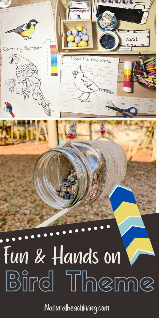 Amazing Bird Preschool Theme, with over 50 ideas of bird activities for preschool and kindergarten. Math activities, literacy, fine motor, science, preschool crafts  & more! Spring themes for preschool