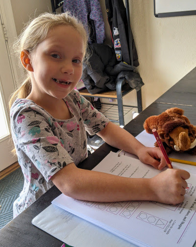 Enter the Math Mammoth Curriculum giveaway for a chance to win a comprehensive, engaging math program perfect for homeschoolers and students! Homeschool Math Curriculum Review