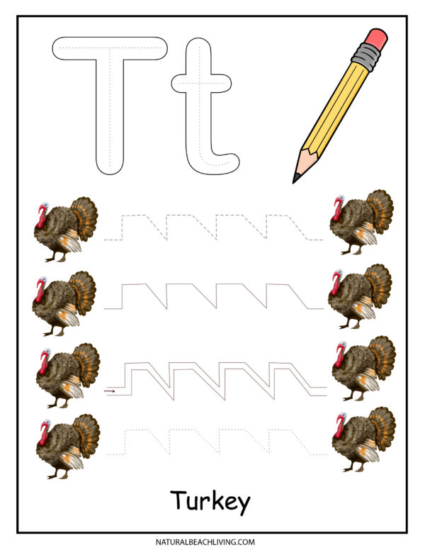 Fall Tracing Printables for Preschoolers - Natural Beach Living