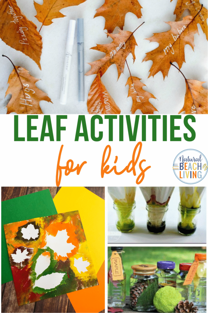 Discover fun and educational leaf activities for preschool and kindergarten! Explore nature, crafts, sensory play, science, and more through hands-on activities