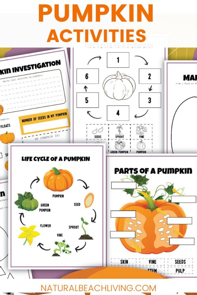 Pumpkin Unit Study Printable Activities for Kids - Natural Beach