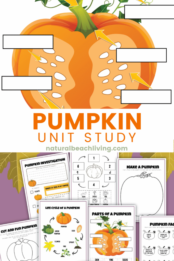 Explore a fun Pumpkin Unit Study for kids! Hands-on fall learning activities, printables, and creative lessons for preschool through elementary students. Pumpkin Theme Activities
