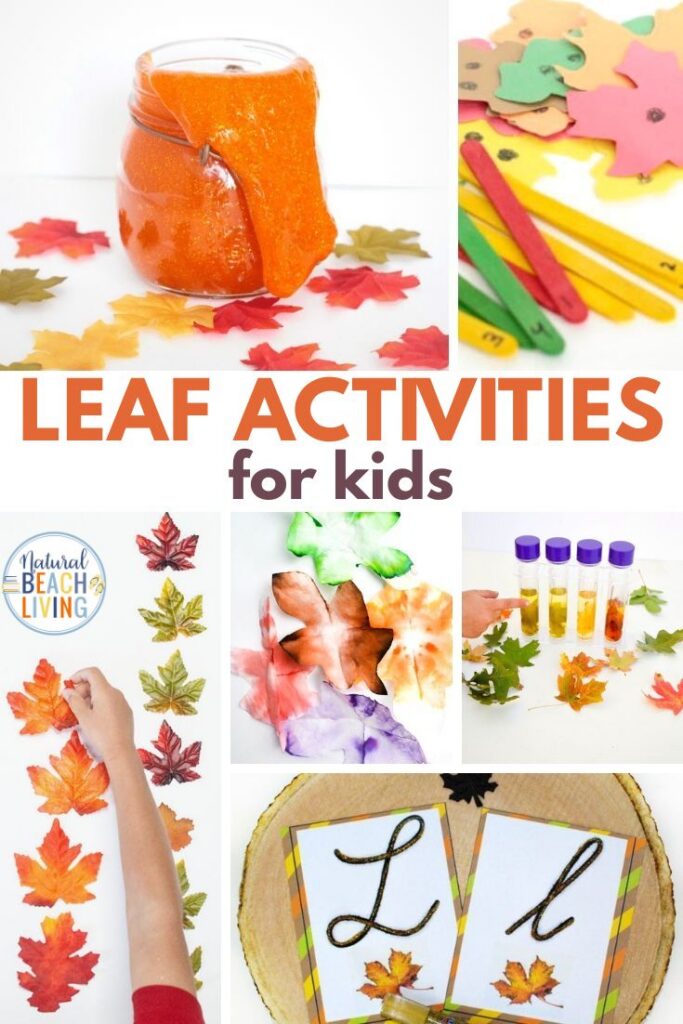 Discover fun and educational leaf activities for preschool and kindergarten! Explore nature, crafts, sensory play, science, and more through hands-on activities