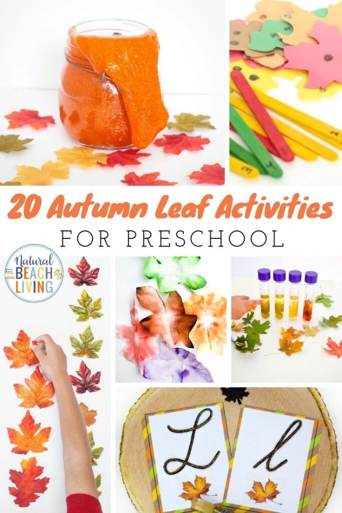 Discover fun and educational leaf activities for preschool and kindergarten! Explore nature, crafts, sensory play, science, and more through hands-on activities