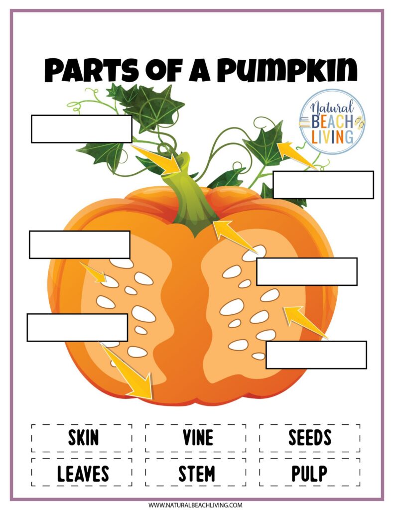 Explore a fun Pumpkin Unit Study for kids! Hands-on fall learning activities, printables, and creative lessons for preschool through elementary students. Pumpkin Theme Activities