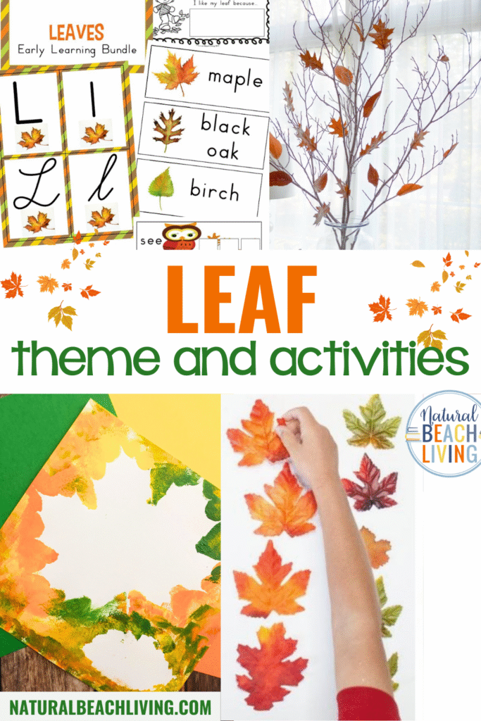 Discover fun and educational leaf activities for preschool and kindergarten! Explore nature, crafts, sensory play, science, and more through hands-on activities