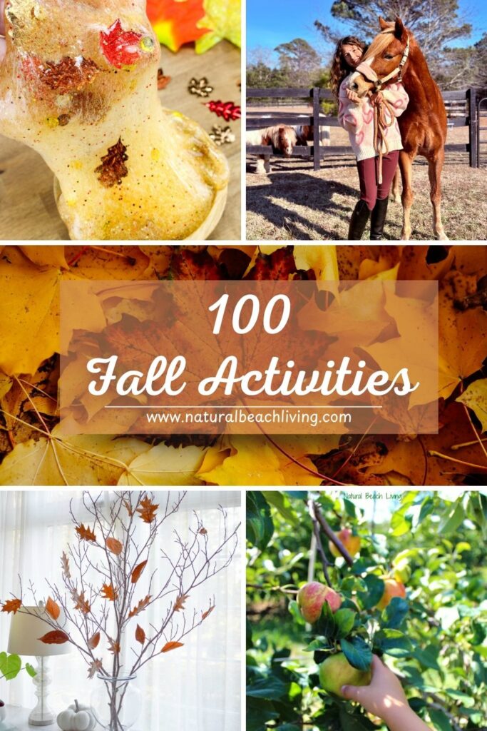 Fun fall activities for kids! From pumpkin patches to leaf crafts, Fall games, outdoor activities and more. Find easy fall ideas to keep children entertained all season long.