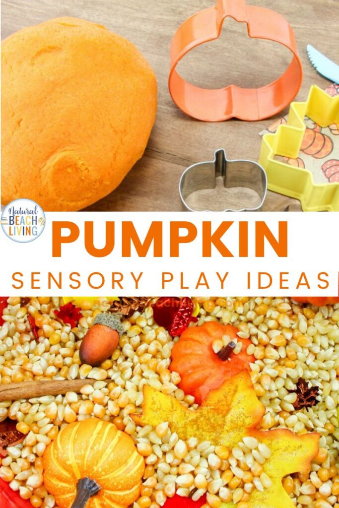 Explore fun pumpkin activities for preschoolers! Boost creativity, sensory skills, and early learning with these simple, hands-on fall projects.